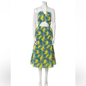 Tanya Taylor dress